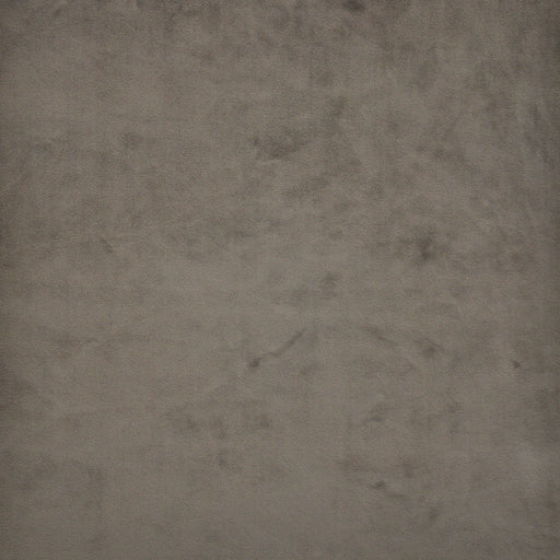 Firenze-# 516 foundation