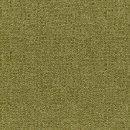 Rockhopper-# 833 fern