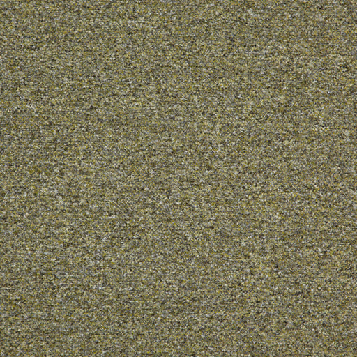 Patagonia-# 843 hedge