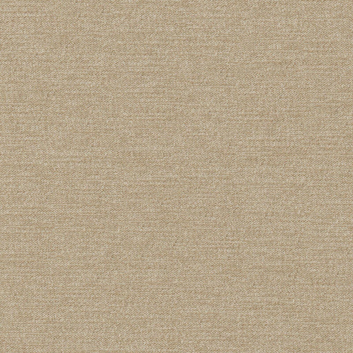 Impasto-# 953 cork