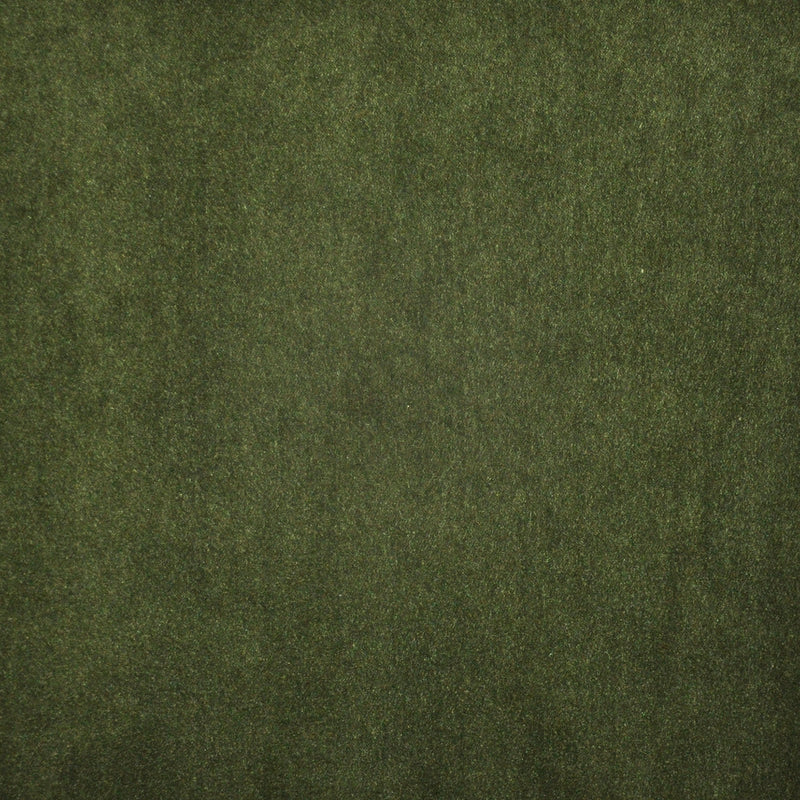 Vera-# 716 moss