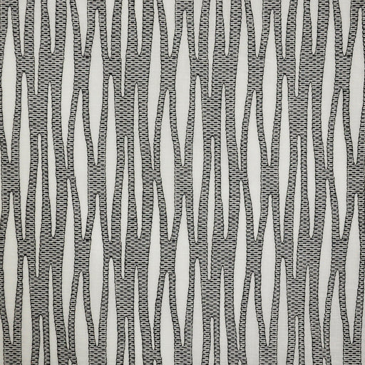 Bonsai-# 519 zebra