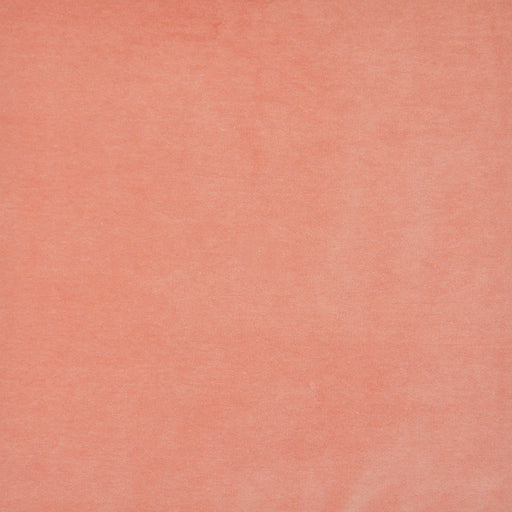 Snug-# 401 coral