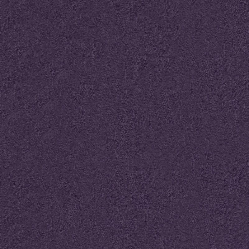 Jackson-# 609 eggplant
