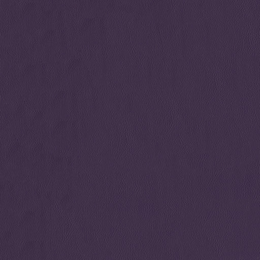 Jackson-# 609 eggplant
