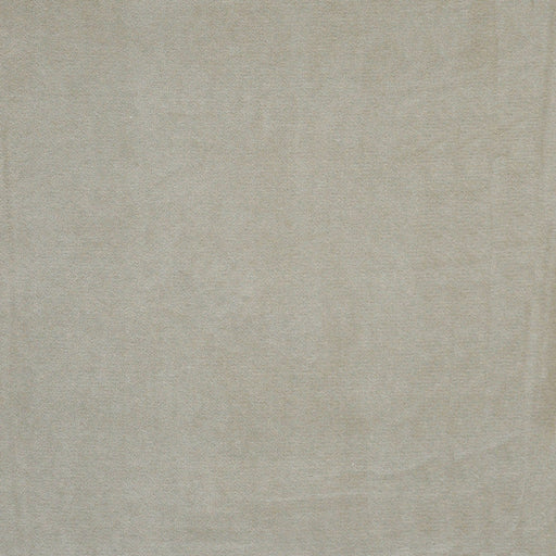 Vera-# 937 flax