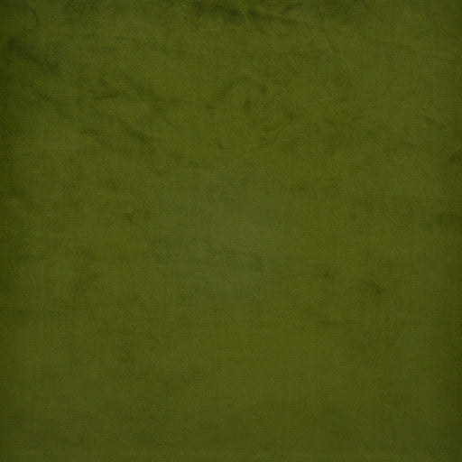 Firenze-# 537 poblano