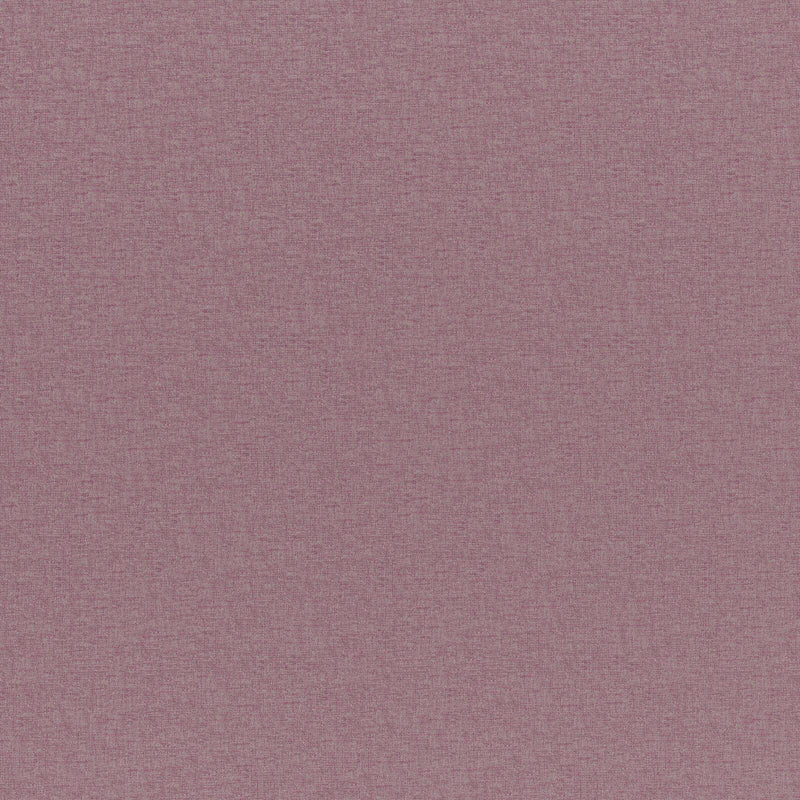 Cadenza-# 767 orchid