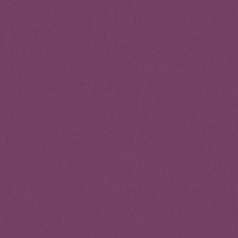 Zaitun-# 534 aubergine