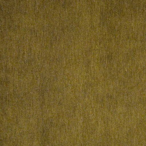 Belluno-# 107 olive