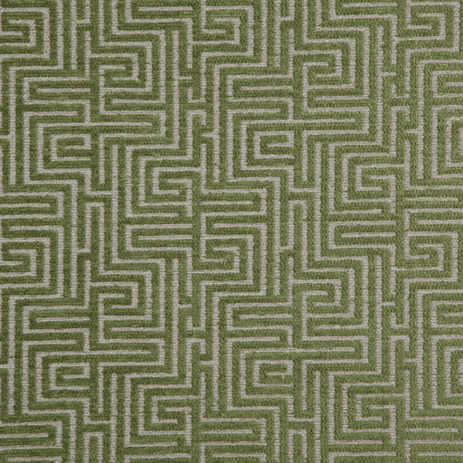 Aerial-# 311 forest