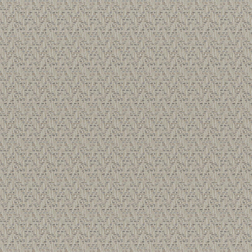 Tierra-# 247 desert
