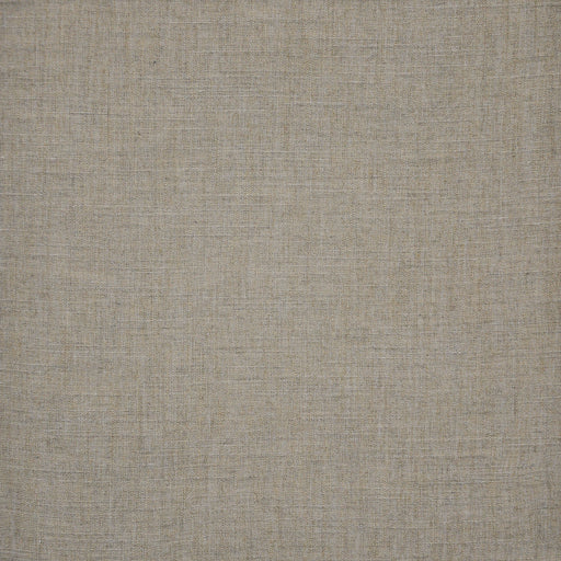 Fielder-ess-# 83 coyote