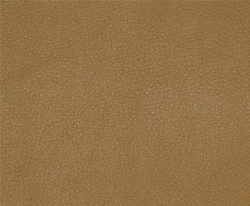 Persuasion-# 007 butterscotch