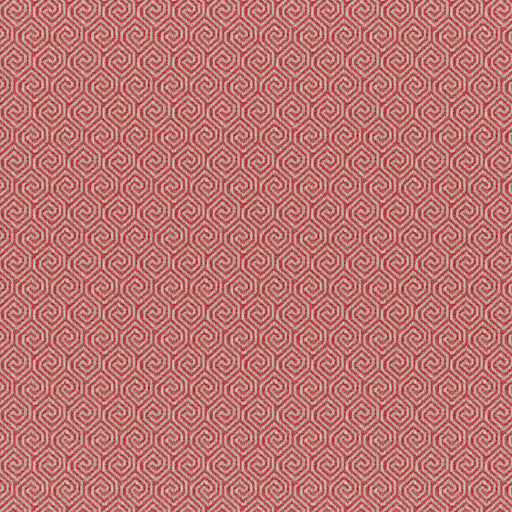 Quintero-# 510 coral