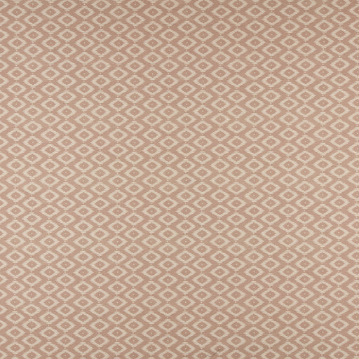 Kodi-# 530 blush