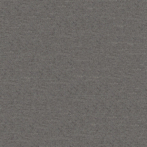 Castor-# 979 mink