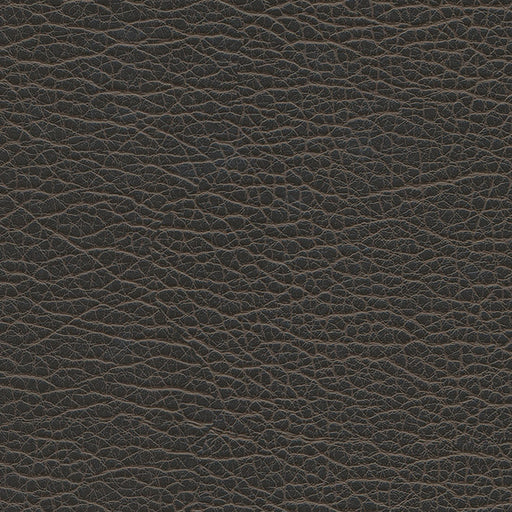 Spire-nj-# 1202 graphite