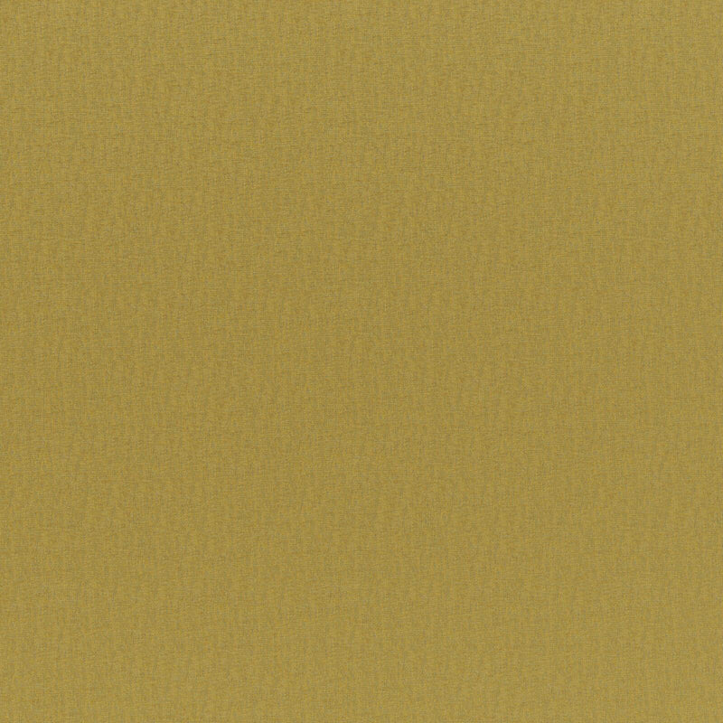 Cadenza-# 748 maize