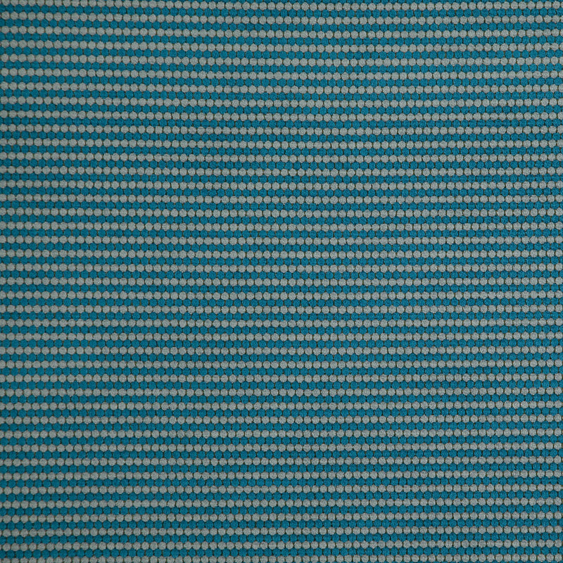 Macaw-# 853 turquoise
