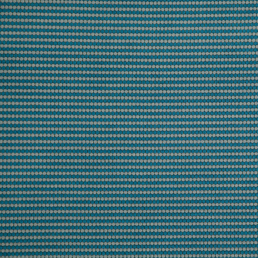 Macaw-# 853 turquoise