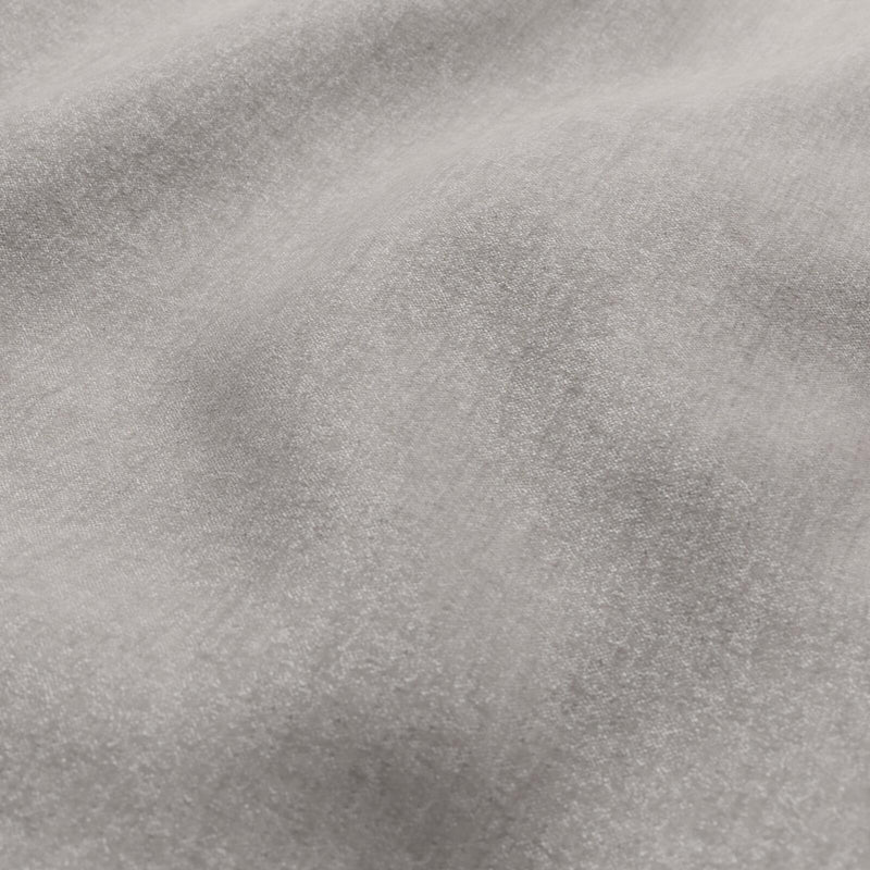 Adagio-# 849 pigeon