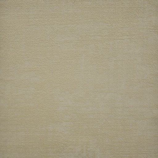 Carlotta-# 709 almond