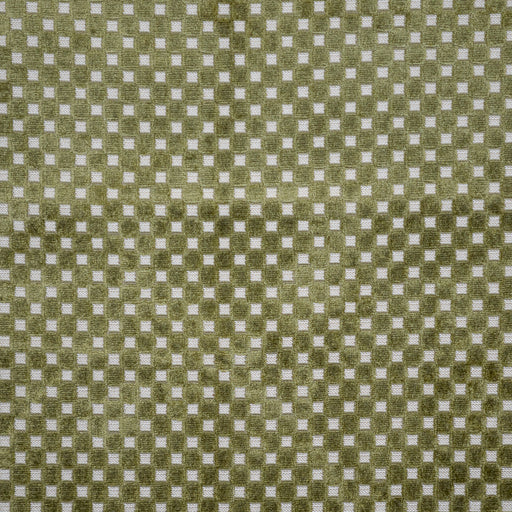 Bolzano-# 633 olive