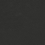 Tebessa-nj - # 141 onyx- Maxwell Fabric By The Yard