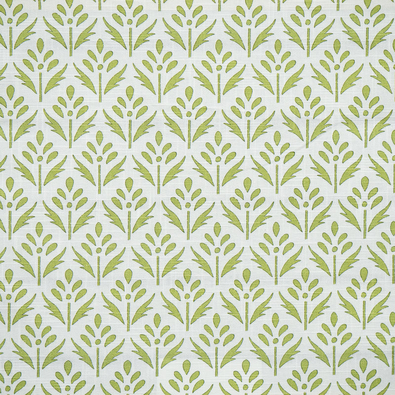 Floraison-# 341 salal