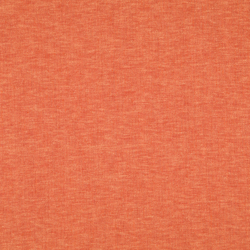 Cloud-# 24 koi