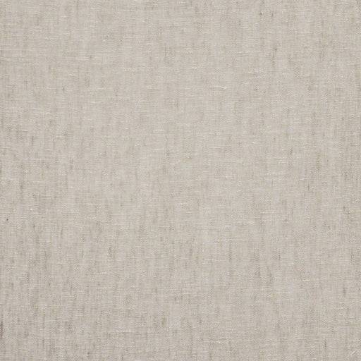 Remy-# 441 cappuccino