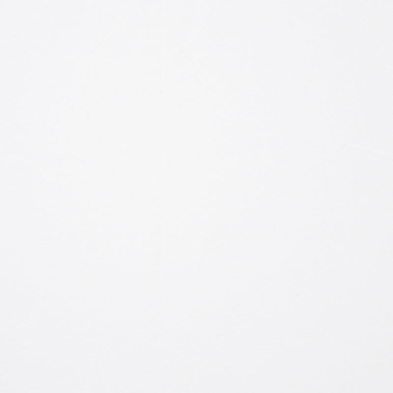 Ganymede-# 340 white