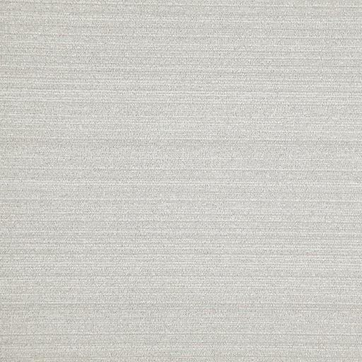 Zamora-# 220 fossil