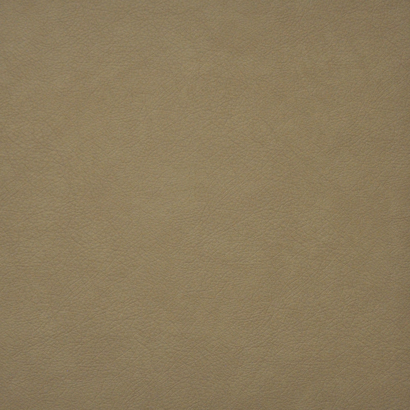 Hidalgo-# 737 latte