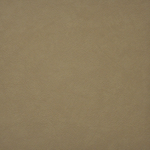 Hidalgo-# 737 latte
