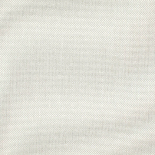 Light year-# 217 parchment