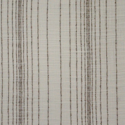 Tansu-# 557 fossil