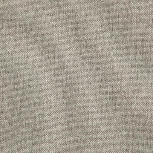 Light year-# 208 bamboo