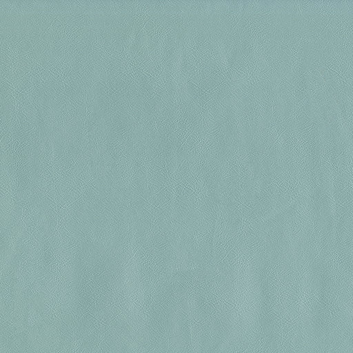 Jackson-# 616 powder