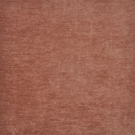 Bouton-# 832 rose