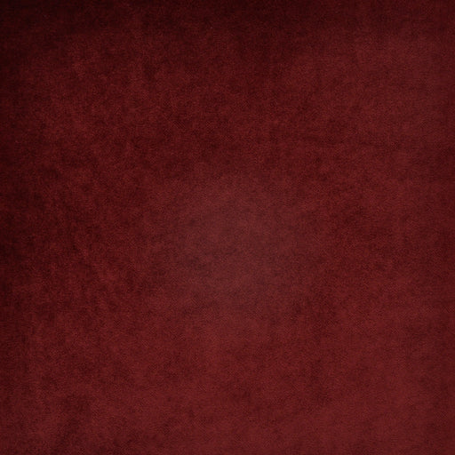 Clark-# 732 beet root