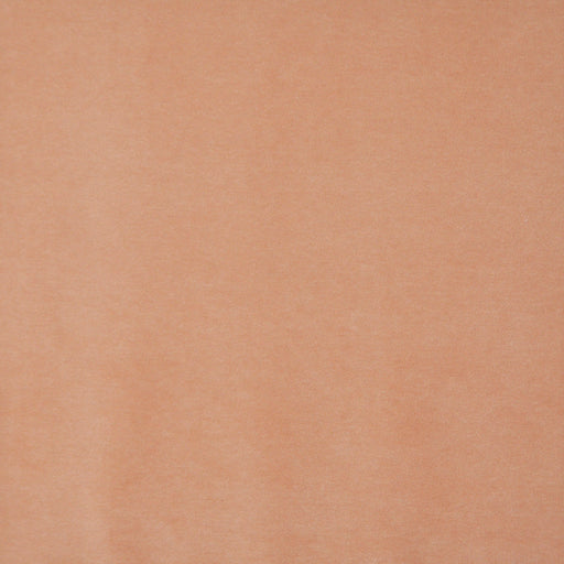 Snug-# 419 soft orange