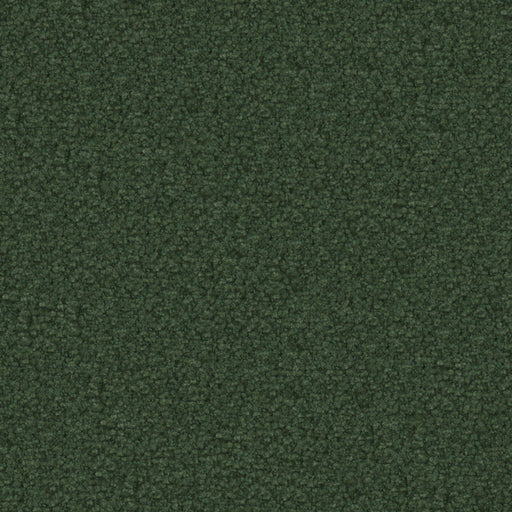 Texel-# 1017 evergreen