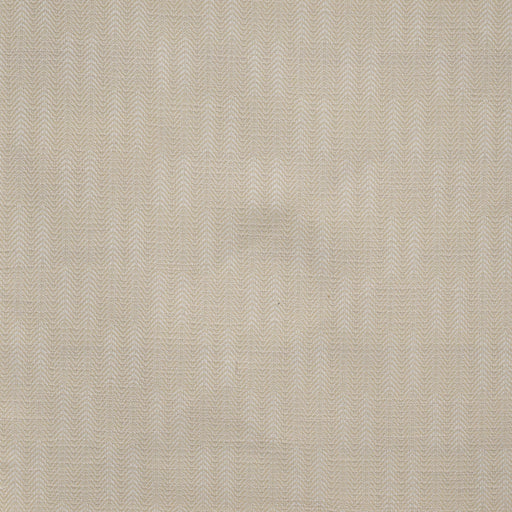 Conifer-# 745 nougat