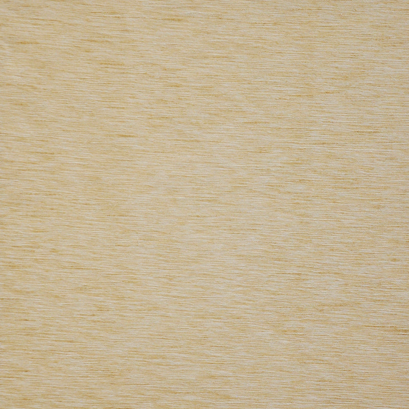 Asolo-# 535 winter wheat