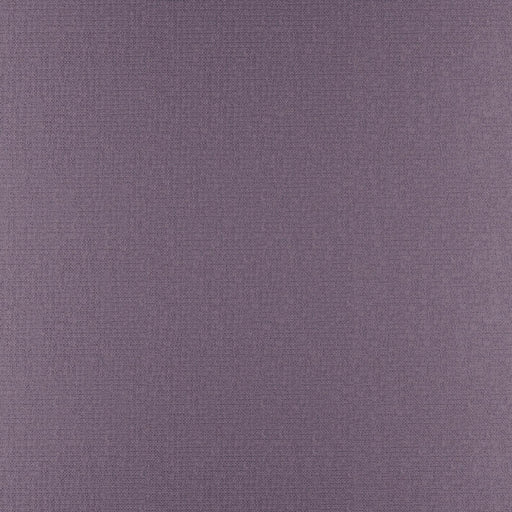Phobos-# 325 plum