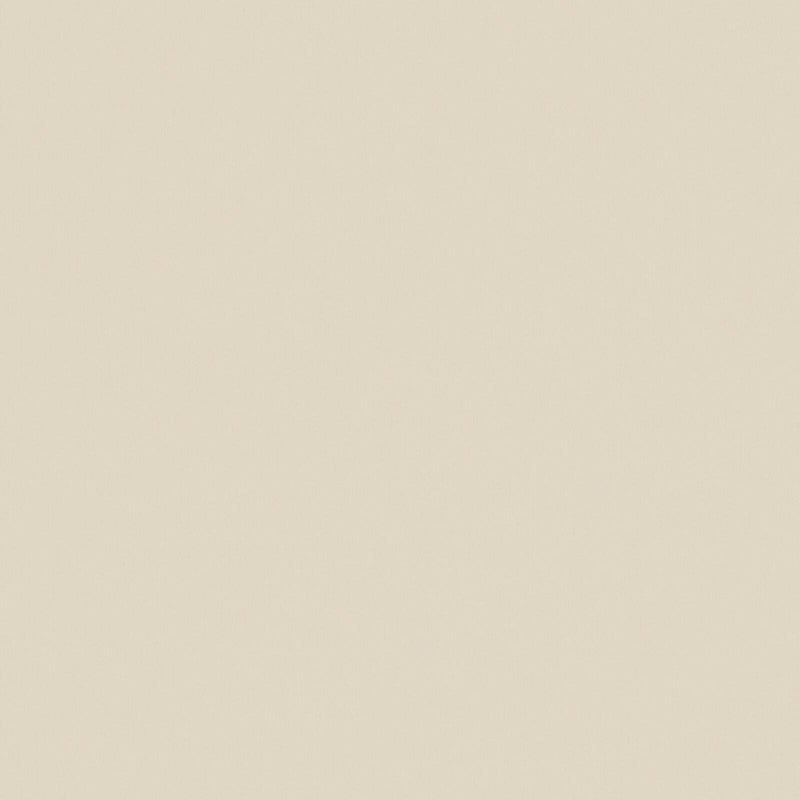 Zaitun-# 541 putty