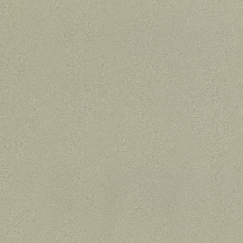 Jackson-# 630 haze