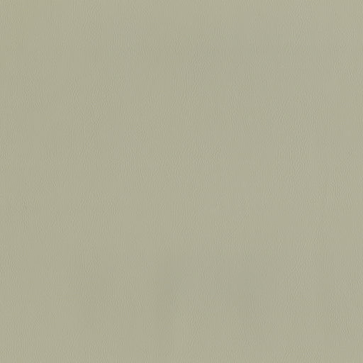 Jackson-# 630 haze